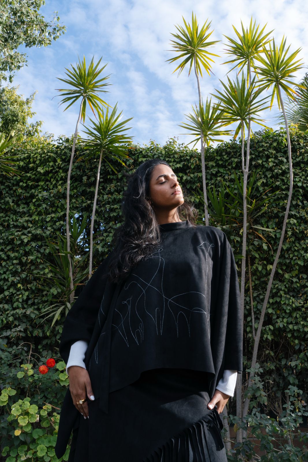 The line Cape - Black